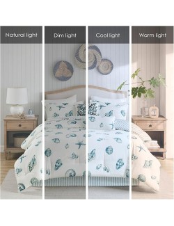 Cozy Cotton Comforter Set - Coastal, All Season Down Alternative Casual Bedding with Matching Shams, Decorative Pillows, Beach House, Reversible Seashell Blue King(108x96) 4 Piece